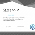 Ingrandire l'immagine: certificate 31