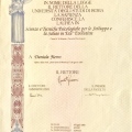 Ingrandire l'immagine: certificate 2