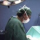 Prof. Pasquale Brignola