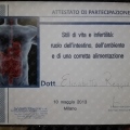 Ingrandire l'immagine: certificate 22
