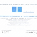 Ingrandire l'immagine: certificate 11