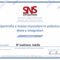 Ingrandire l'immagine: certificate 2