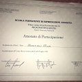 Ingrandire l'immagine: certificate 6