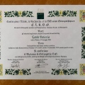 Ingrandire l'immagine: certificate 1