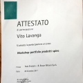 Ingrandire l'immagine: certificate 1