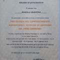 Ingrandire l'immagine: certificate 4