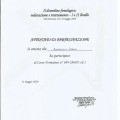 Ingrandire l'immagine: certificate 3