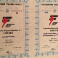 Ingrandire l'immagine: certificate 2