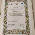 Ingrandire l'immagine: certificate 17