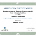 Ingrandire l'immagine: certificate 2