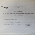 Ingrandire l'immagine: certificate 11
