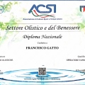 Ingrandire l'immagine: certificate 4