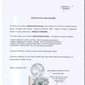 Ingrandire l'immagine: certificate 1