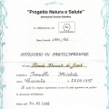 Ingrandire l'immagine: certificate 24