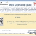 Ingrandire l'immagine: certificate 13