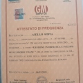 Ingrandire l'immagine: certificate 11