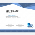 Ingrandire l'immagine: certificate 12