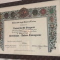 Ingrandire l'immagine: certificate 9
