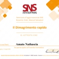 Ingrandire l'immagine: certificate 2