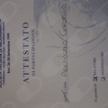 Ingrandire l'immagine: certificate 87