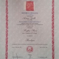 Ingrandire l'immagine: certificate 1