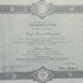 Ingrandire l'immagine: certificate 1