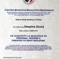 Ingrandire l'immagine: certificate 9