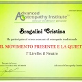 Ingrandire l'immagine: certificate 9