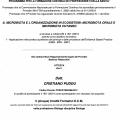 Ingrandire l'immagine: certificate 4