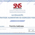 Ingrandire l'immagine: certificate 9