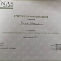 Ingrandire l'immagine: certificate 4