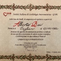 Ingrandire l'immagine: certificate 1