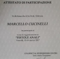 Ingrandire l'immagine: certificate 7