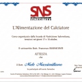 Ingrandire l'immagine: certificate 6