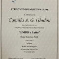 Ingrandire l'immagine: certificate 10