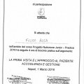 Ingrandire l'immagine: certificate 8