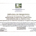 Ingrandire l'immagine: certificate 6
