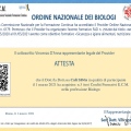 Ingrandire l'immagine: certificate 2