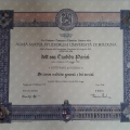 Ingrandire l'immagine: certificate 8