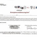 Ingrandire l'immagine: certificate 2