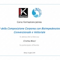 Ingrandire l'immagine: certificate 19