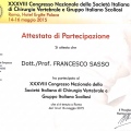Ingrandire l'immagine: certificate 4