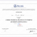 Ingrandire l'immagine: certificate 6