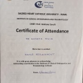 Ingrandire l'immagine: certificate 4