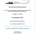 Ingrandire l'immagine: certificate 5