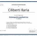 Ingrandire l'immagine: certificate 2