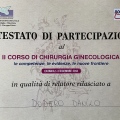 Ingrandire l'immagine: certificate 21