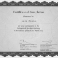 Ingrandire l'immagine: certificate 8