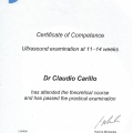 Ingrandire l'immagine: certificate 1