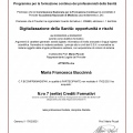 Ingrandire l'immagine: certificate 1